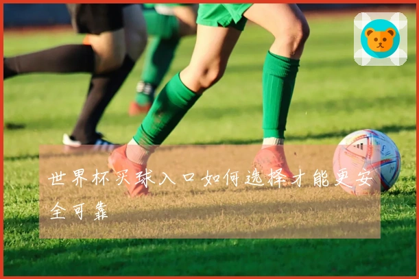 世界杯买球入口如何选择才能更安全可靠