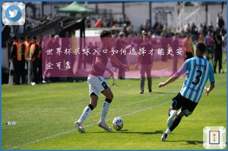 世界杯买球入口如何选择才能更安全可靠