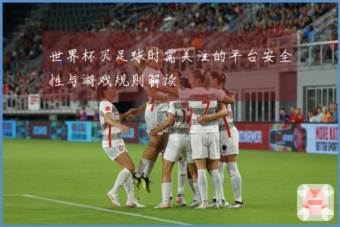 世界杯买足球时需关注的平台安全性与游戏规则解读